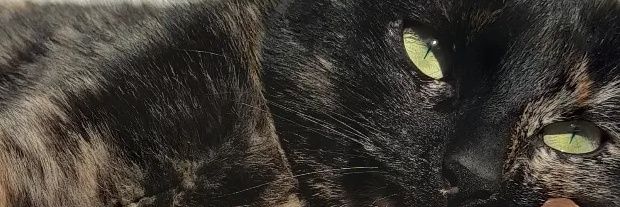 StucanAgos's profile banner image