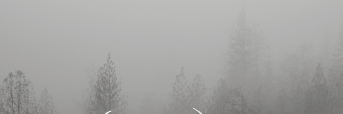 SecretWoodVideo's profile banner image