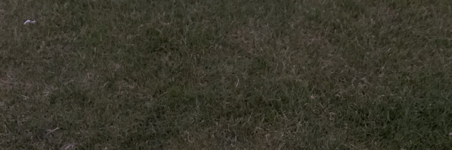 Monsta_d_'s profile banner image
