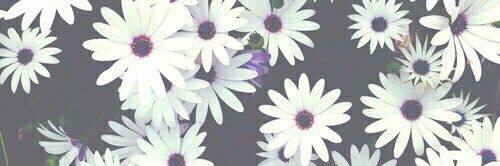 jack_jones_95's profile banner image