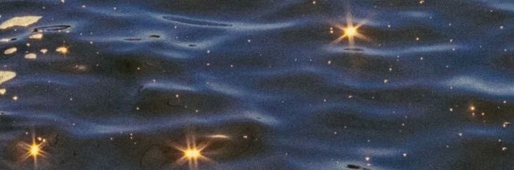 syd ⋆✴︎˚｡⋆ banner