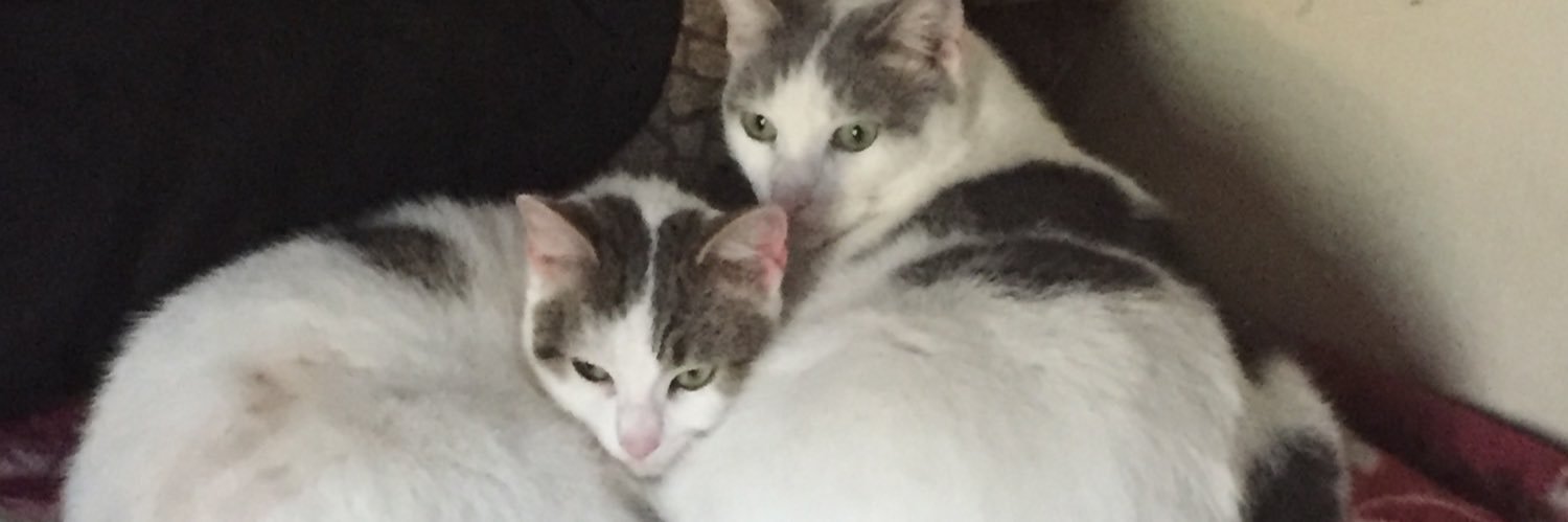 greg4467's profile banner image