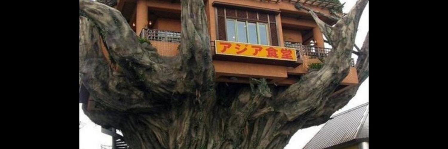 monkeynapoli's profile banner image
