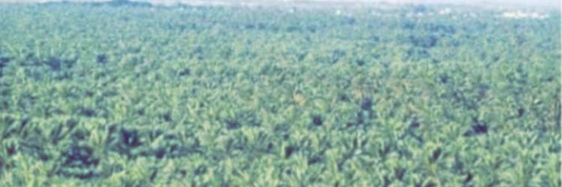 سبحان الله وبحمده banner