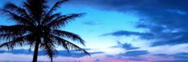 burntvibes's profile banner image