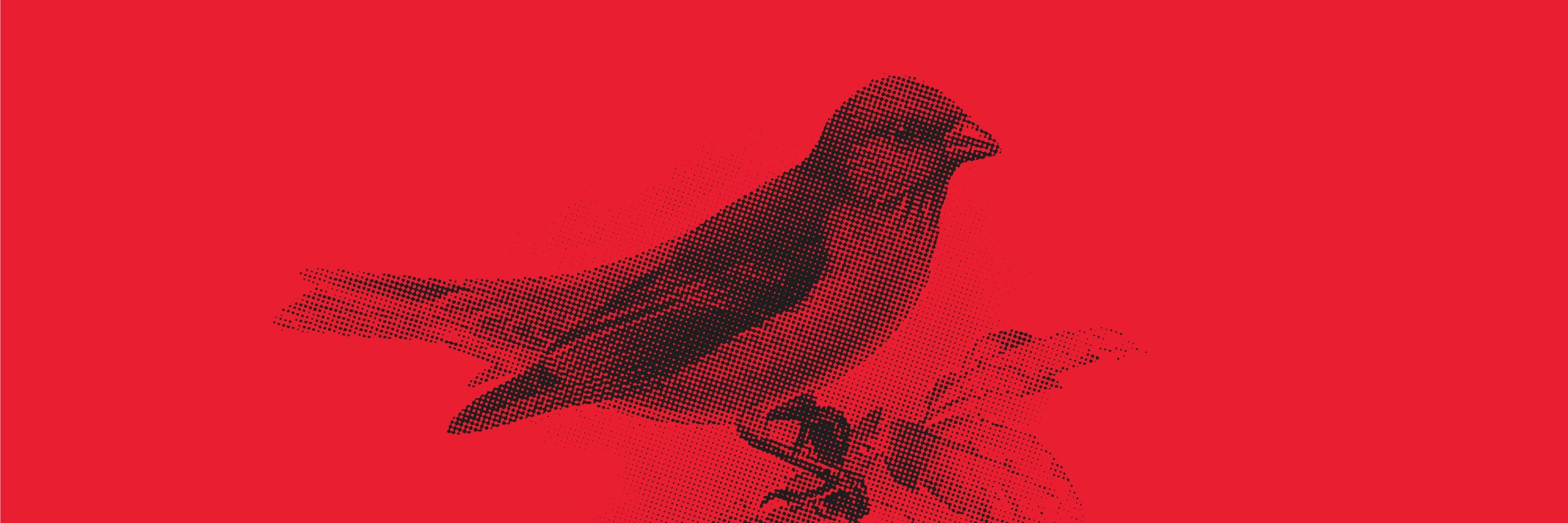 finchaccounting's profile banner image