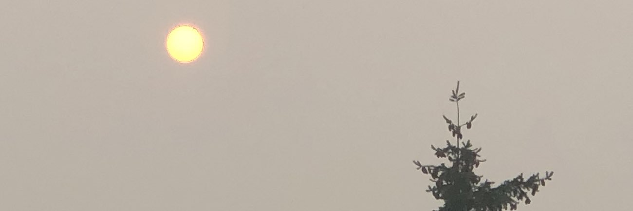 PNWTransit's profile banner image