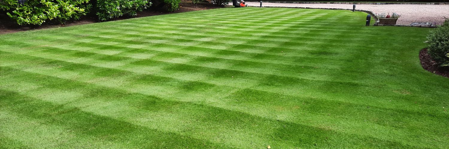 Alun Stevenson banner