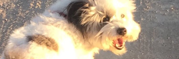 _ookkkkk's profile banner image