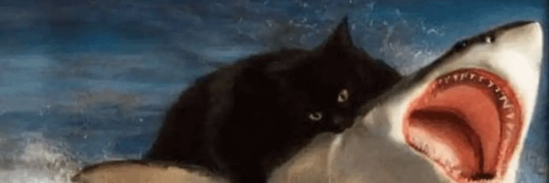SamTaylord's profile banner image