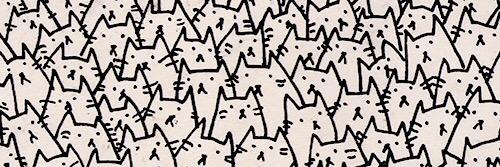 chiarinacolombo's profile banner image