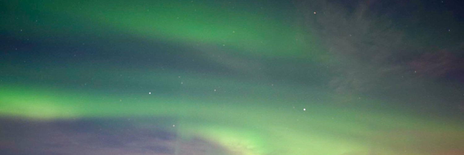 elliebedderrss's profile banner image