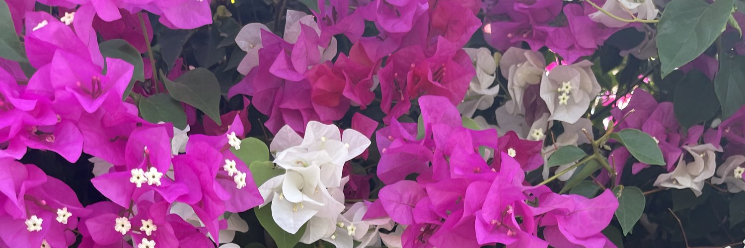 Eki Yemisi Omorogbe 🌿🌸🌼🪴 banner