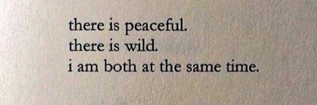 Antonia Layiwola banner