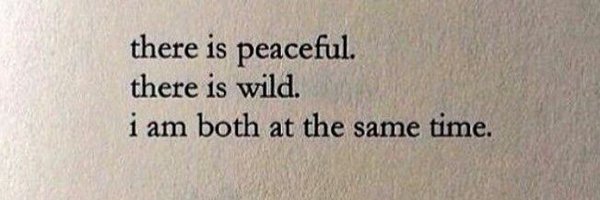 ToniLay Profile Banner