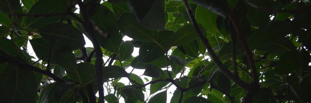 jackreoconnor1's profile banner image