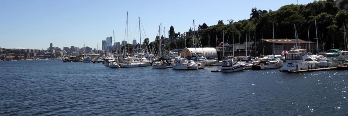 Jeanne Kohl-Welles banner