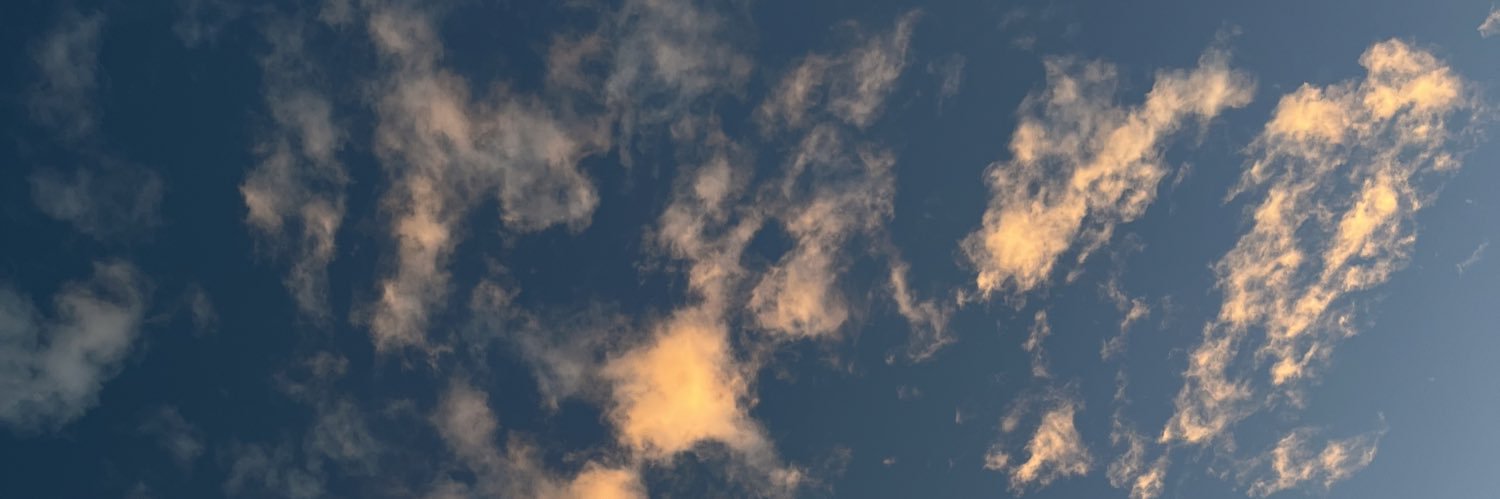 vargasarcejorge's profile banner image