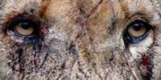fer_aldea's profile banner image