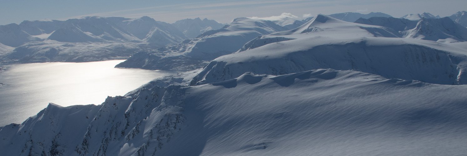 ldeddens's profile banner image