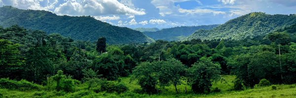 Ryanrz Profile Banner