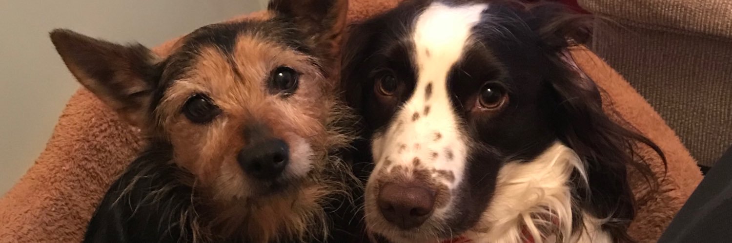 Jake Woolley🇸🇪🏴󠁧󠁢󠁥󠁮󠁧󠁿🇸🇪🏴󠁧󠁢󠁥󠁮󠁧󠁿 banner