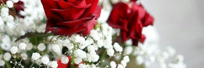 to918267's profile banner image