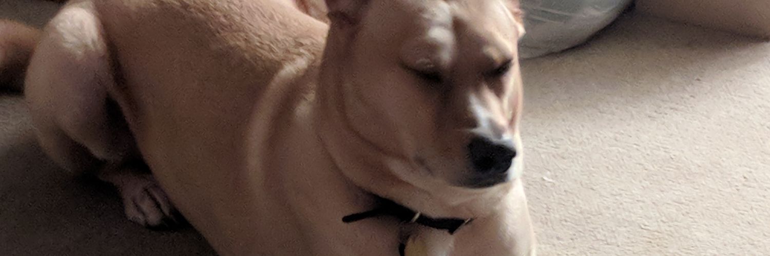 mdhutton's profile banner image