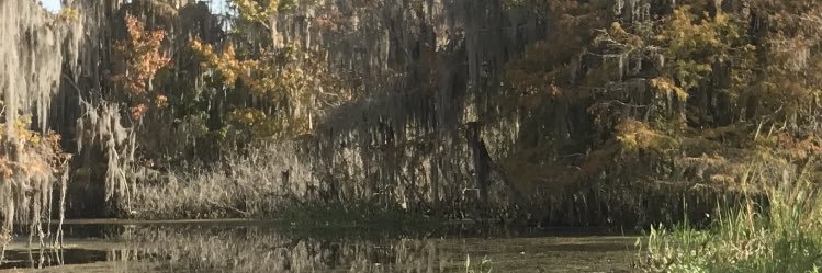 AlexHolsopple45's profile banner image