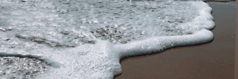 Martajica's profile banner image