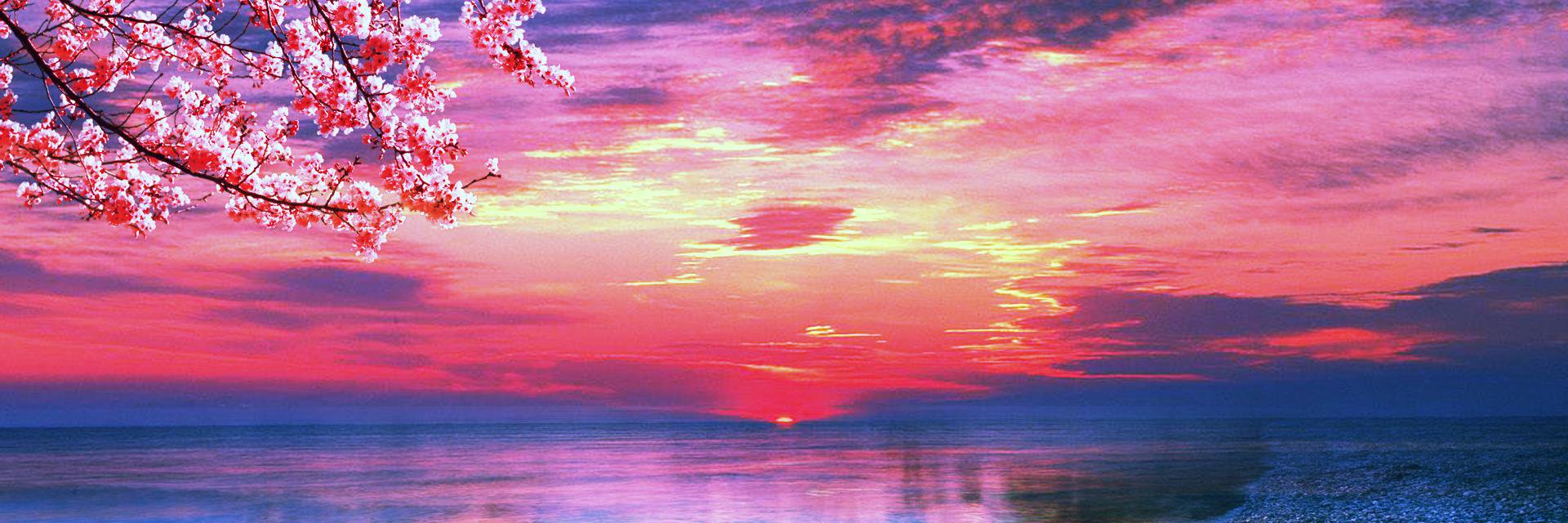 d00297493's profile banner image