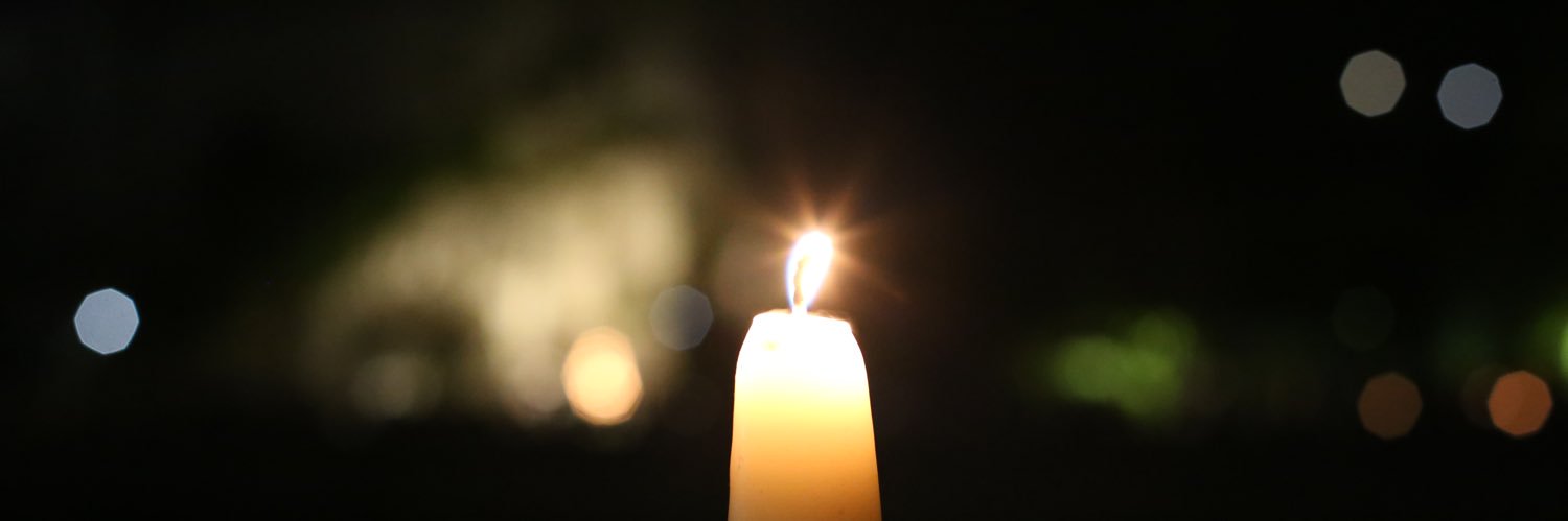 Diocese of Arundel & Brighton Lourdes Pilgrimage banner