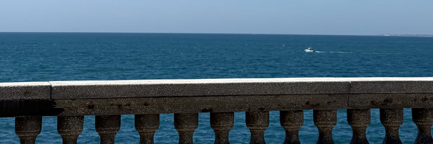 _pellicerr's profile banner image