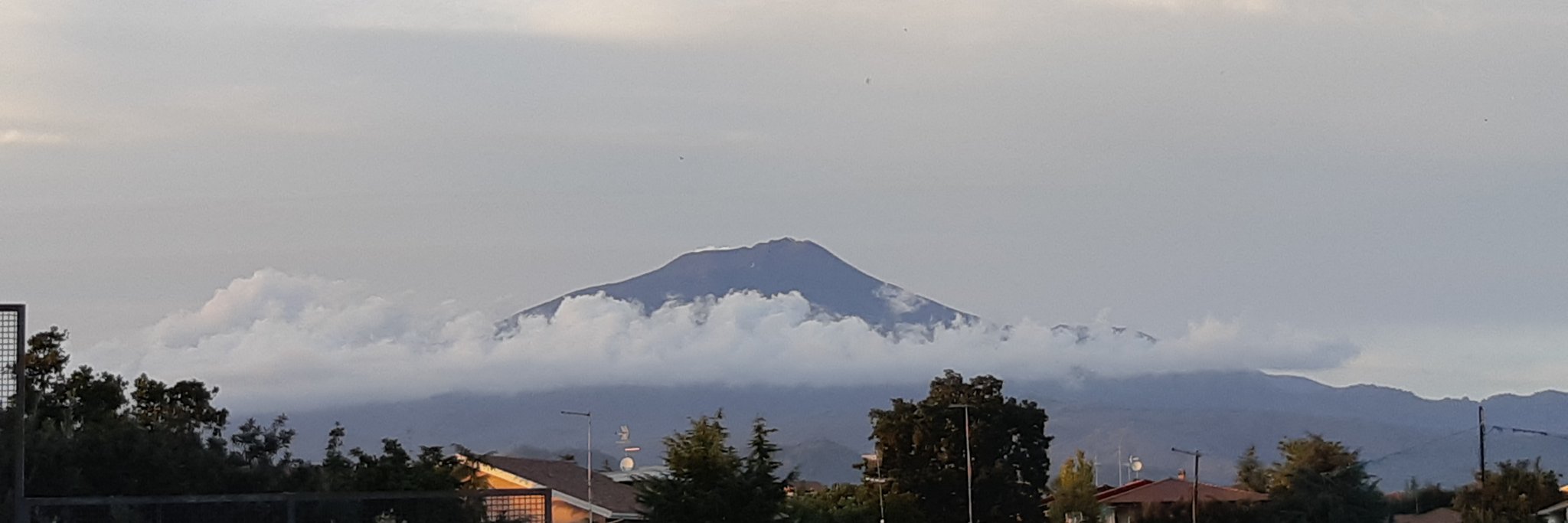 gianlucareale's profile banner image
