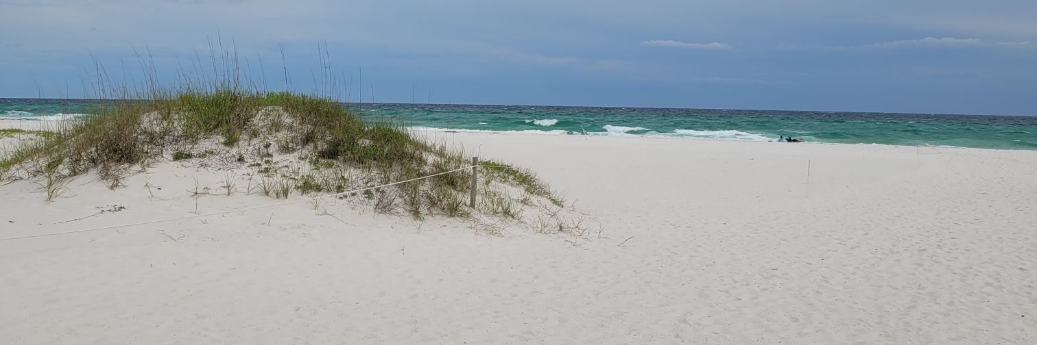 Adron Robinson banner