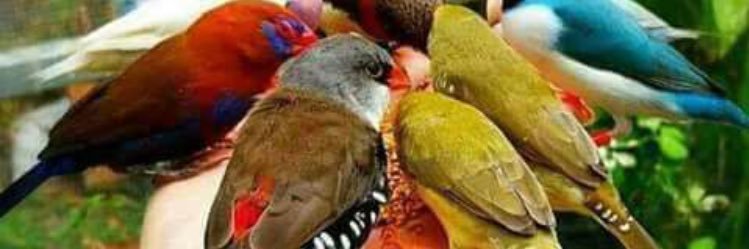 smadhavan711's profile banner image