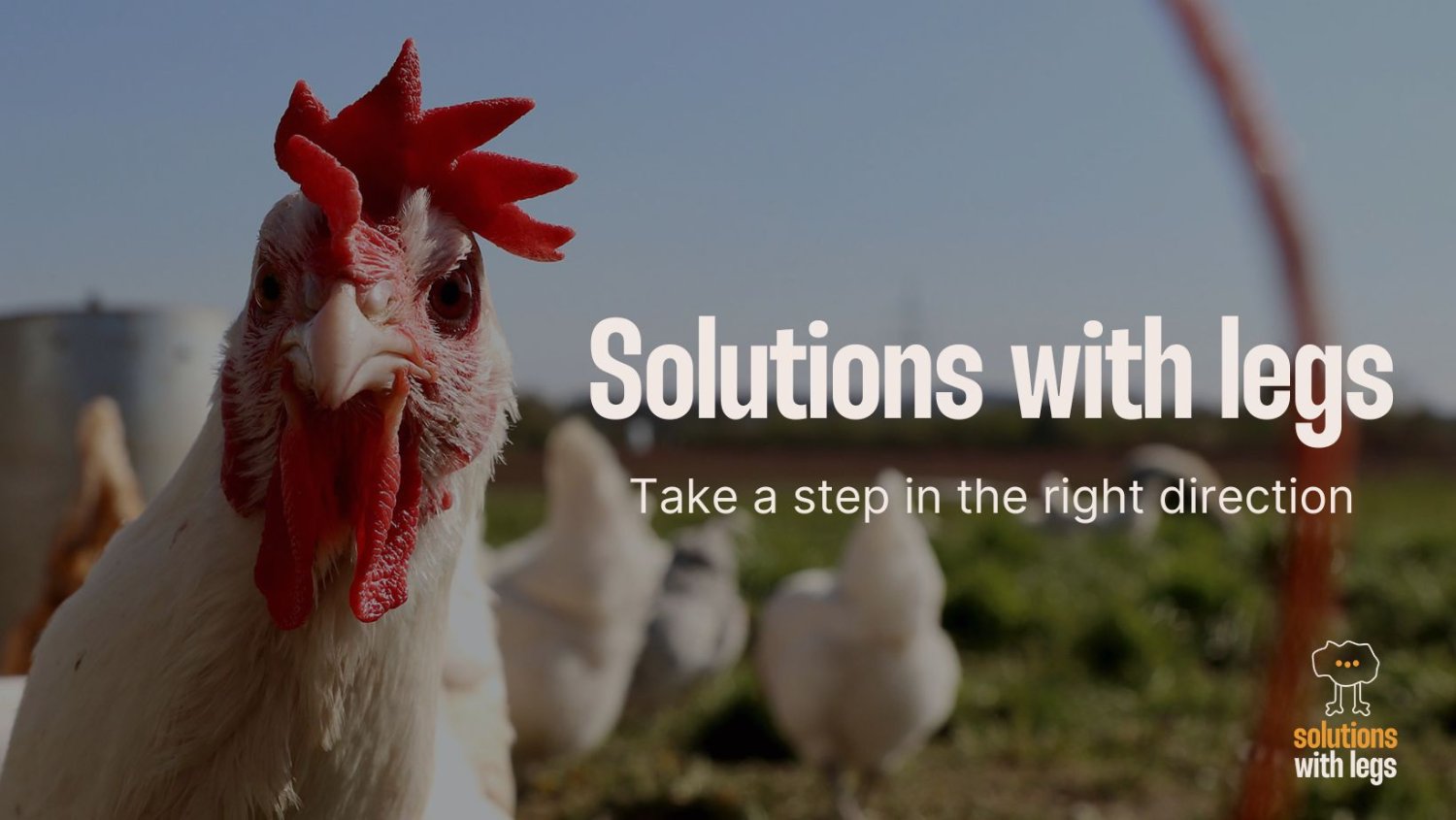 ILRI.org's banner
