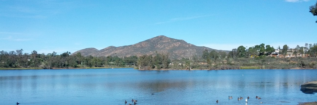 Cathy Spencer banner