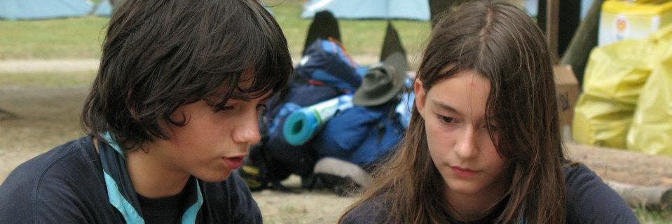 Leonardo Piccoli banner