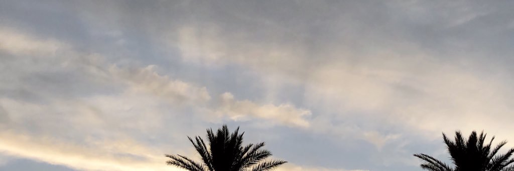 KatCheed's profile banner image