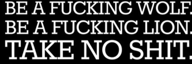 beardedvet13's profile banner image