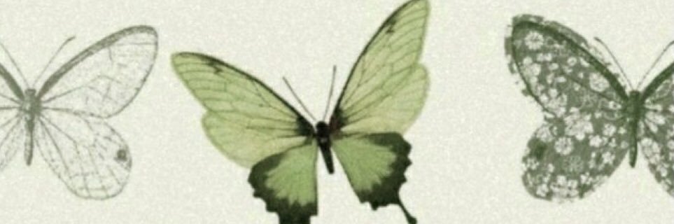 fauxblondemon's profile banner image