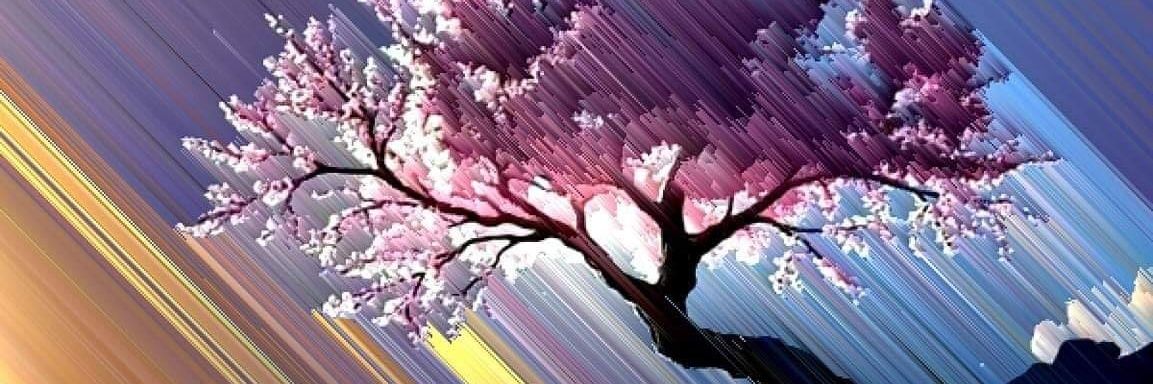 pleppw's profile banner image