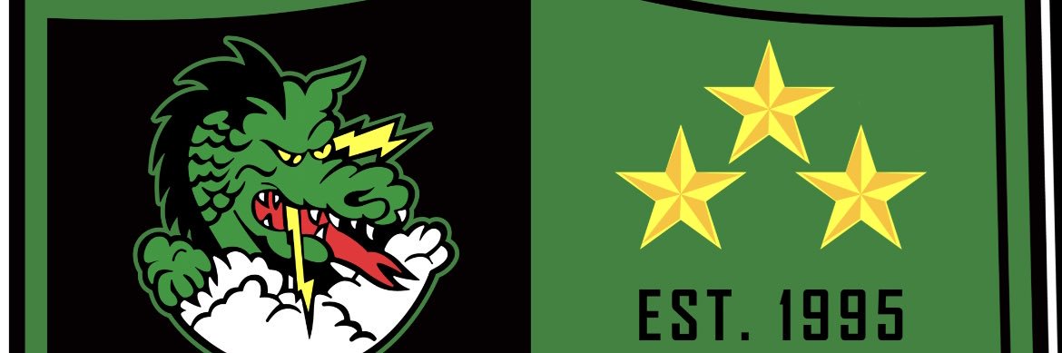 Carroll Lady Dragon Soccer banner