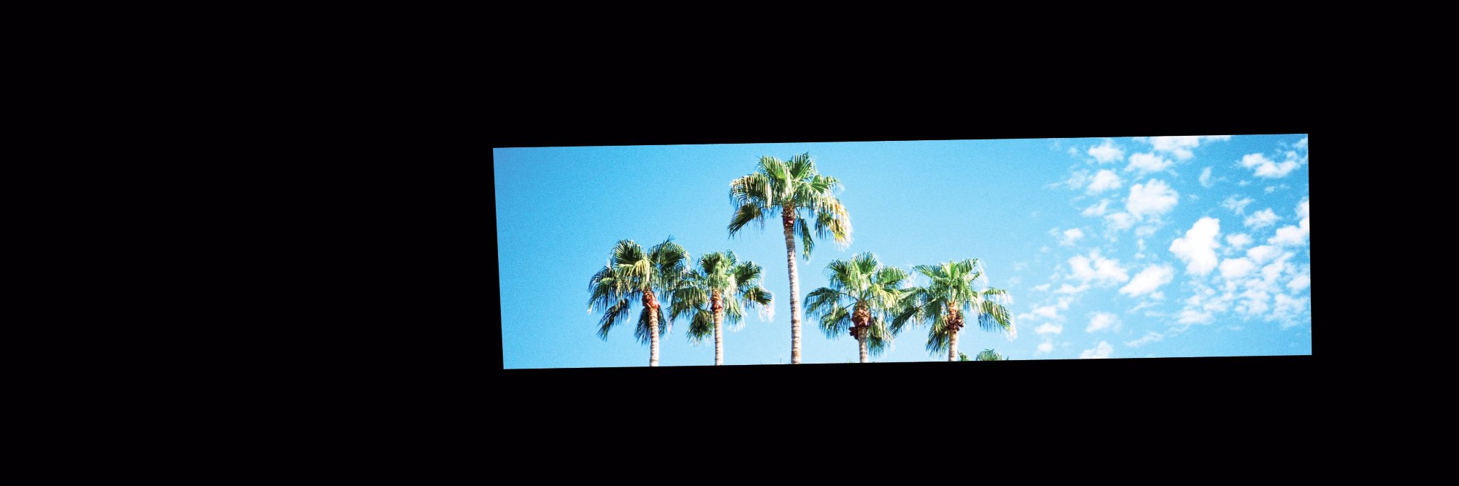 ALCSuccess's profile banner image