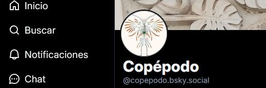 Copépodo banner