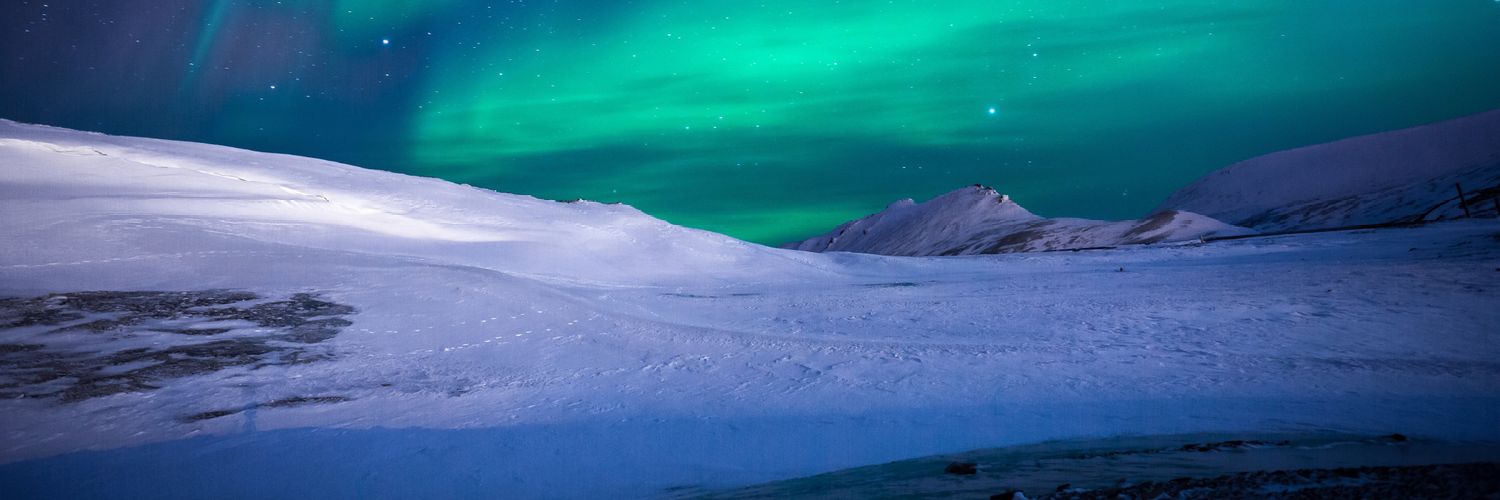 plentyful's profile banner image