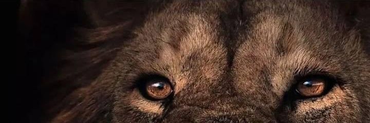 TonyMonkler's profile banner image