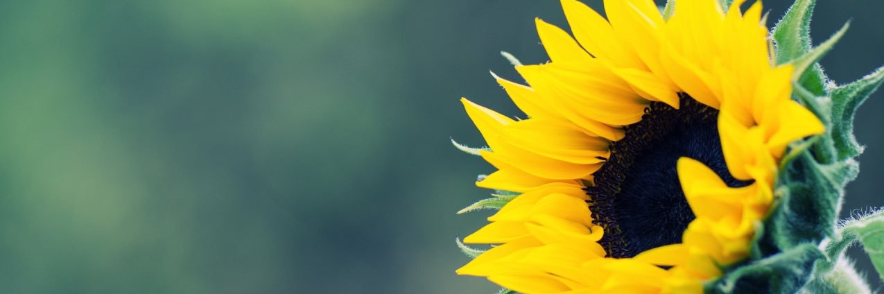 Youhavejess's profile banner image