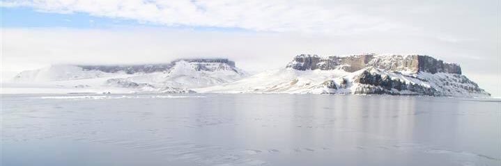 Mel Mackenzie banner